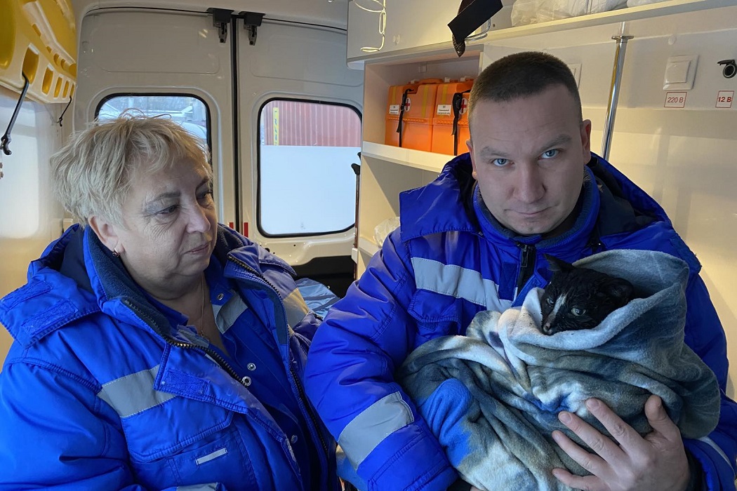 В Салехарде пожарные спасли котёнка при пожаре на СТО