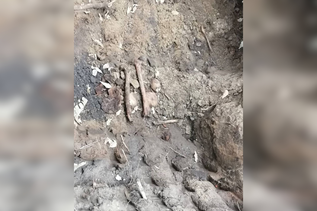 В Тюмени на месте снесённого корпуса ТюмГУ нашли человеческие останки