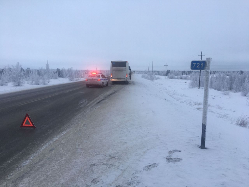 Ямальские автоинспекторы помогли водителям на загородной дороге 2