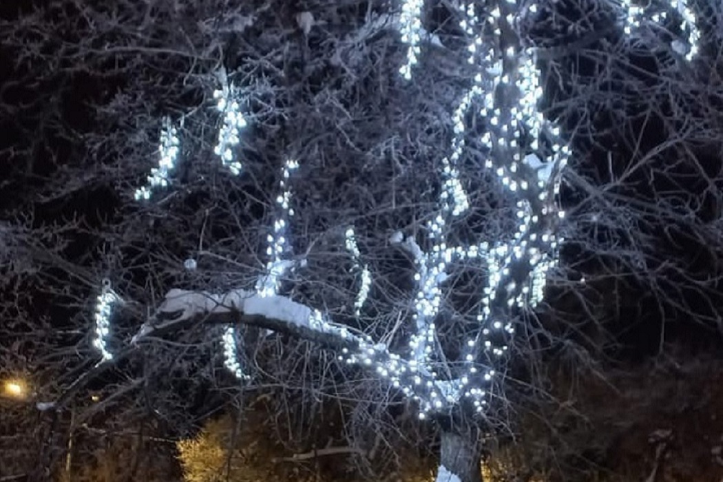 Дерево + дерево желаний + гирлянды + дерево + праздник + Курган + Новый год + вечер + ночь