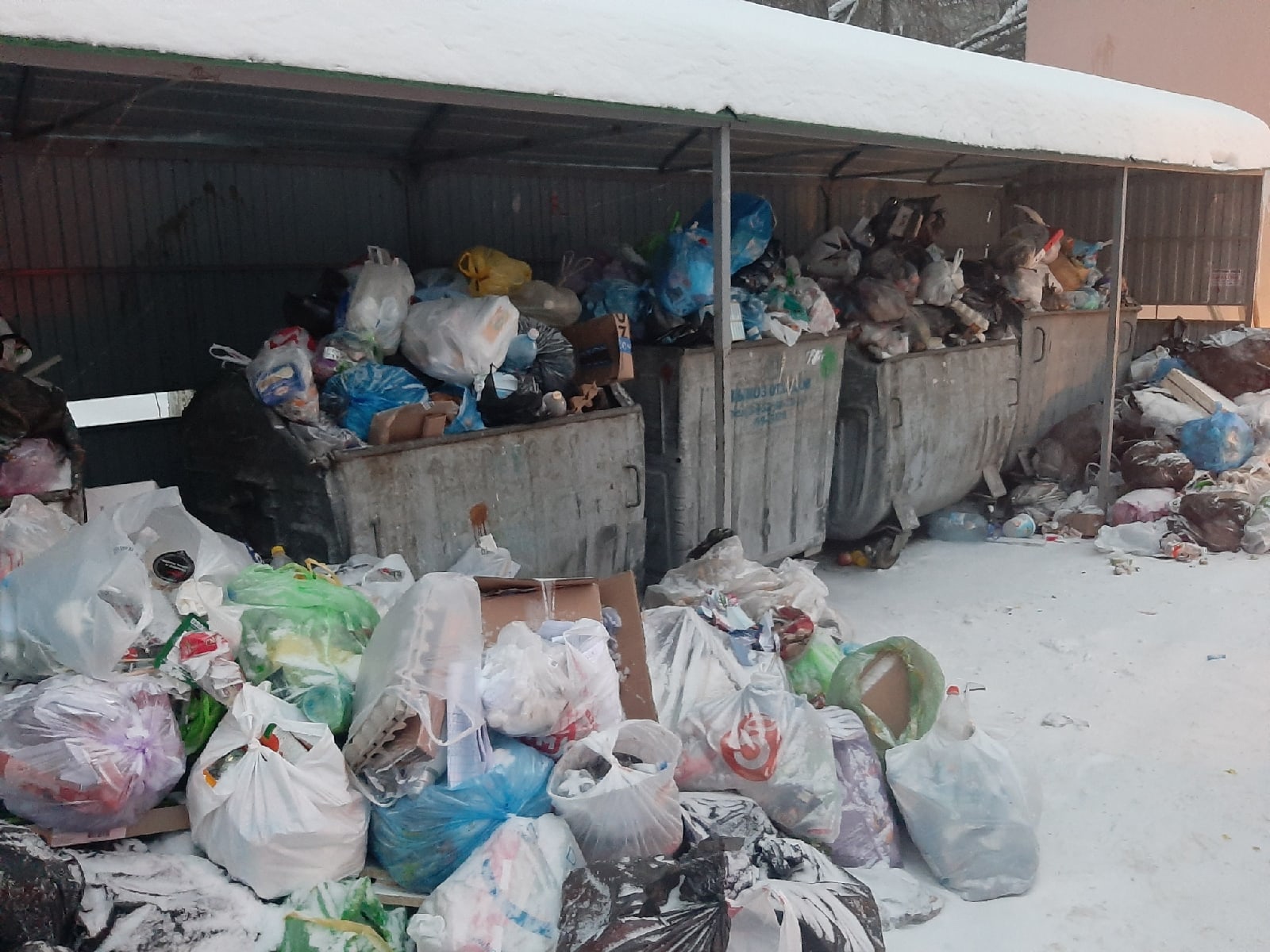 Жители Тюмени пожаловались на заваленные мусором контейнерные площадки 1