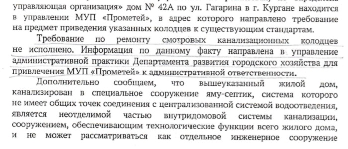 Скриншот: из ответа директора департамента развития городского хозяйства администрации Кургана Андрея Плешкова
