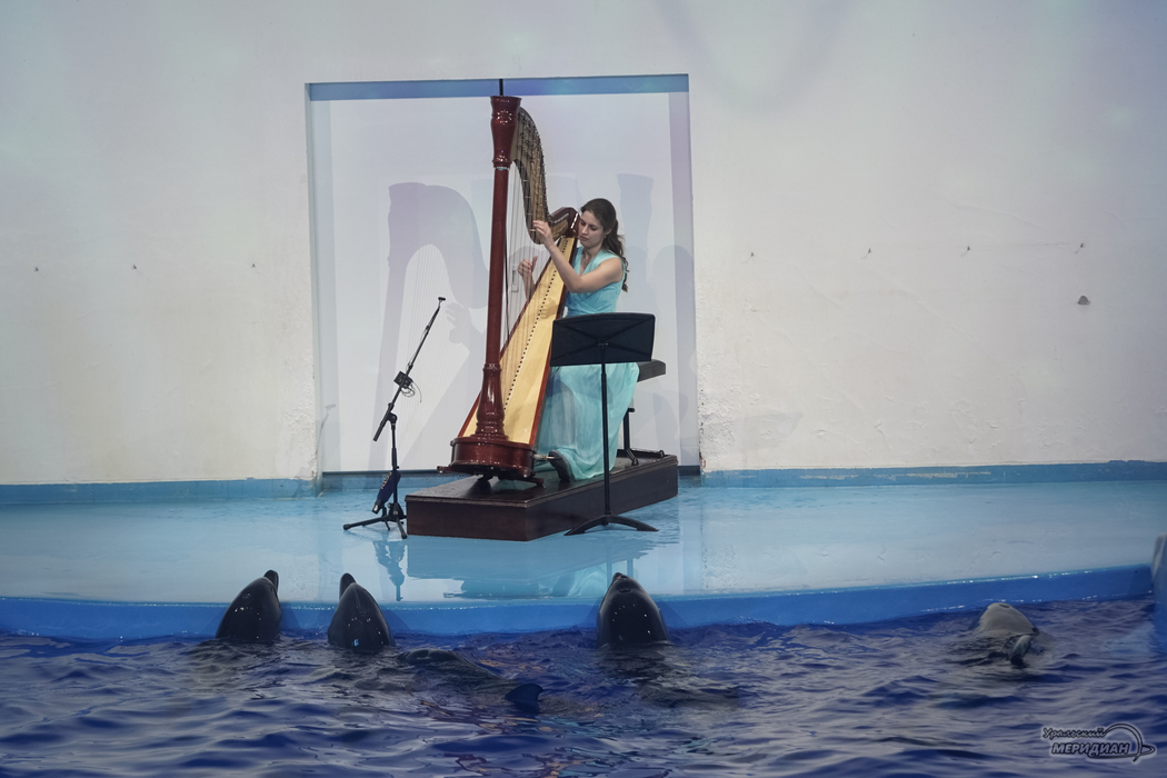 В Океанариуме Екатеринбурга арфистка сыграла для дельфинов музыку Баха