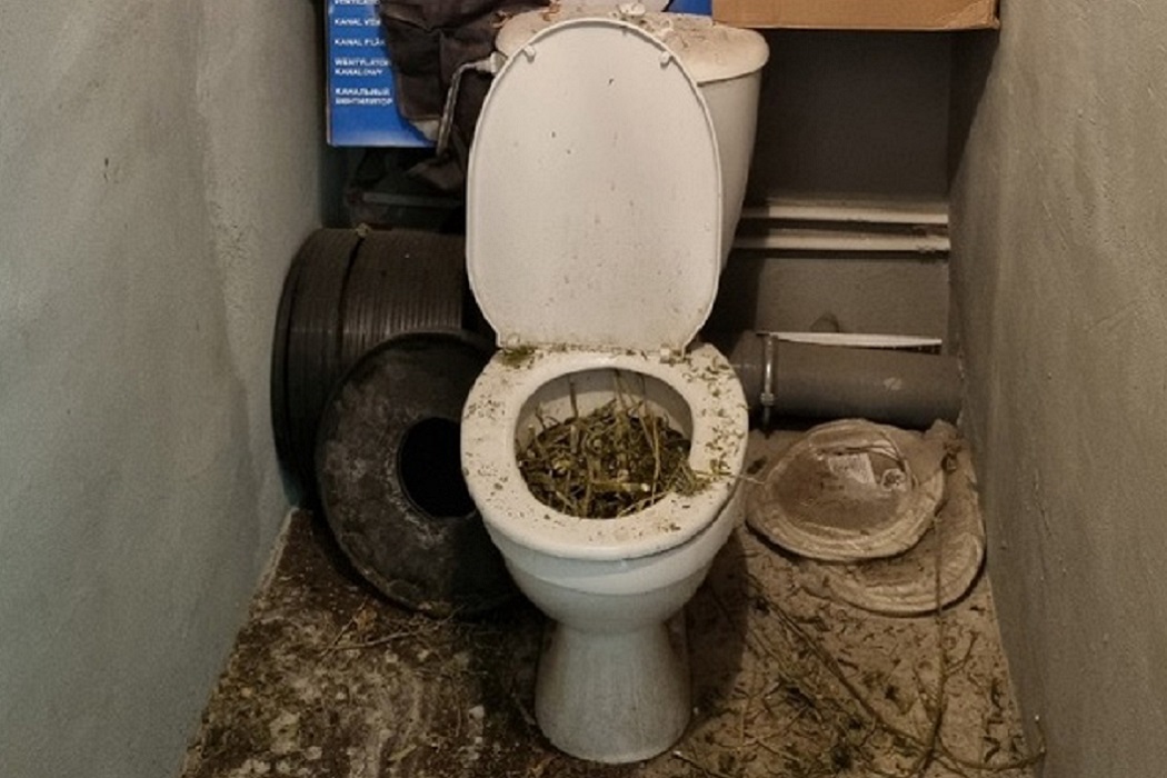 Житель Екатеринбурга засорил канализацию 15 килограммами конопли