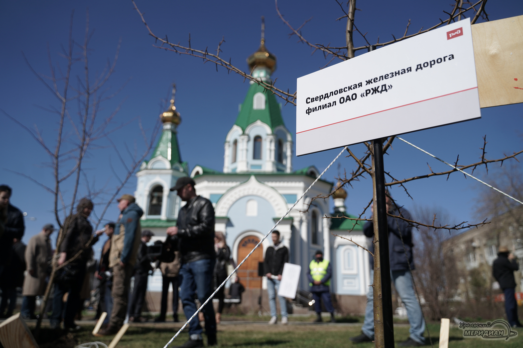 В Екатеринбурге высадили яблони на «Аллее туризма»