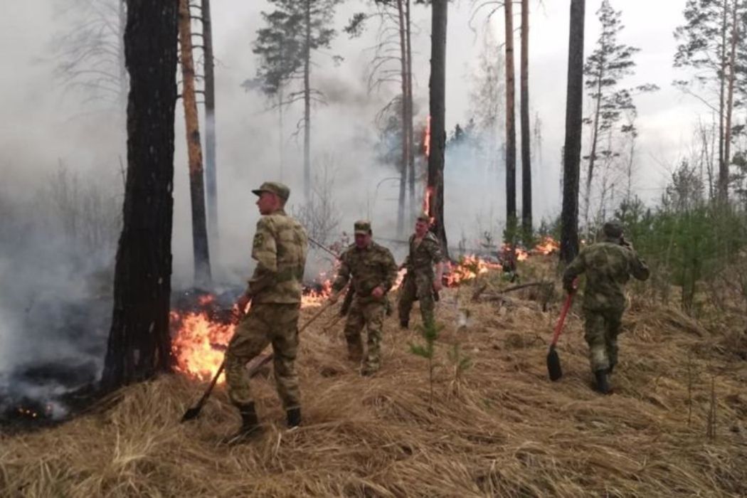 В Курганской области военнослужащие Росгвардии защитили охраняемый объект от подбирающегося природного пожара