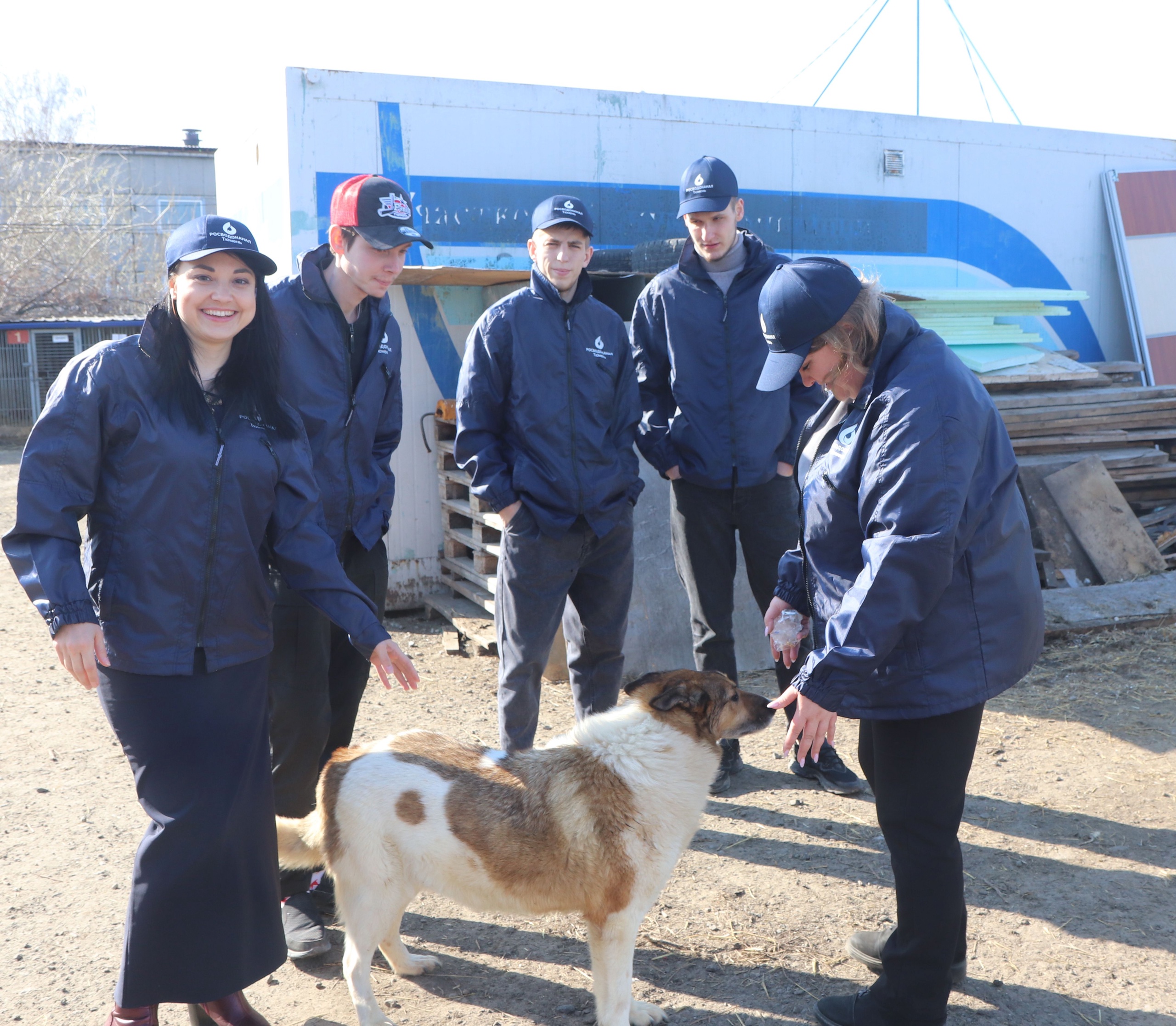 Тюменские коммунальщики передали приюту для животных более 135 кг еды и корма