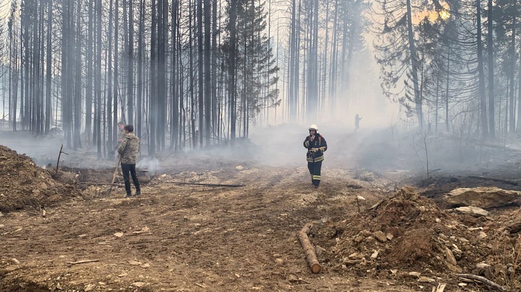 В Свердловской области локализовали пожар на площади более 4 гектар