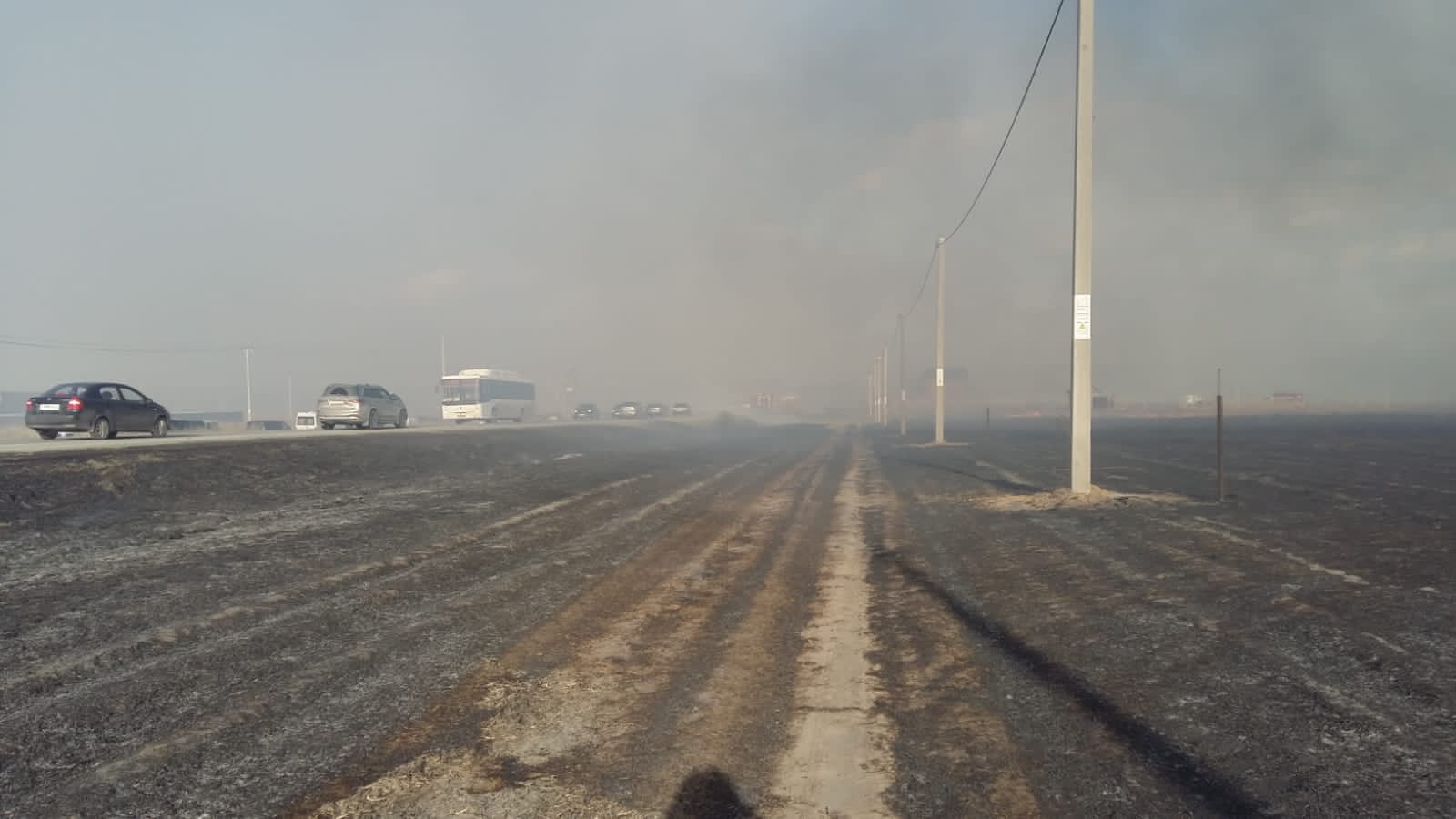 В Тюменском районе потушили ландшафтный пожар в 70 гектаров 1