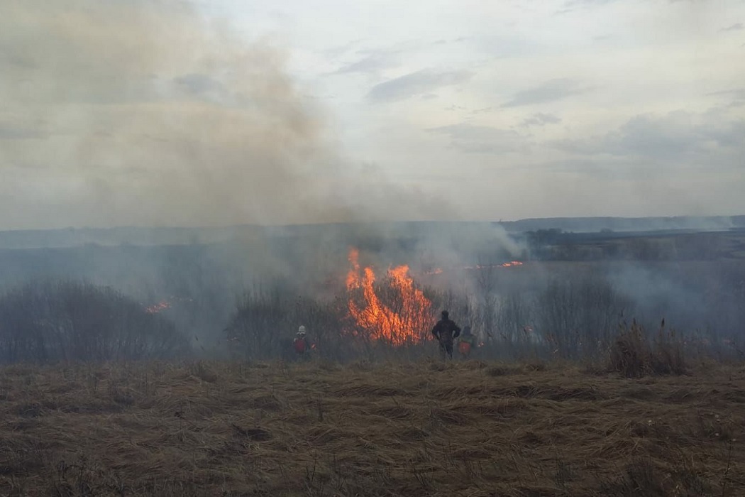 В Тюменском районе потушили ландшафтный пожар в 70 гектаров 1