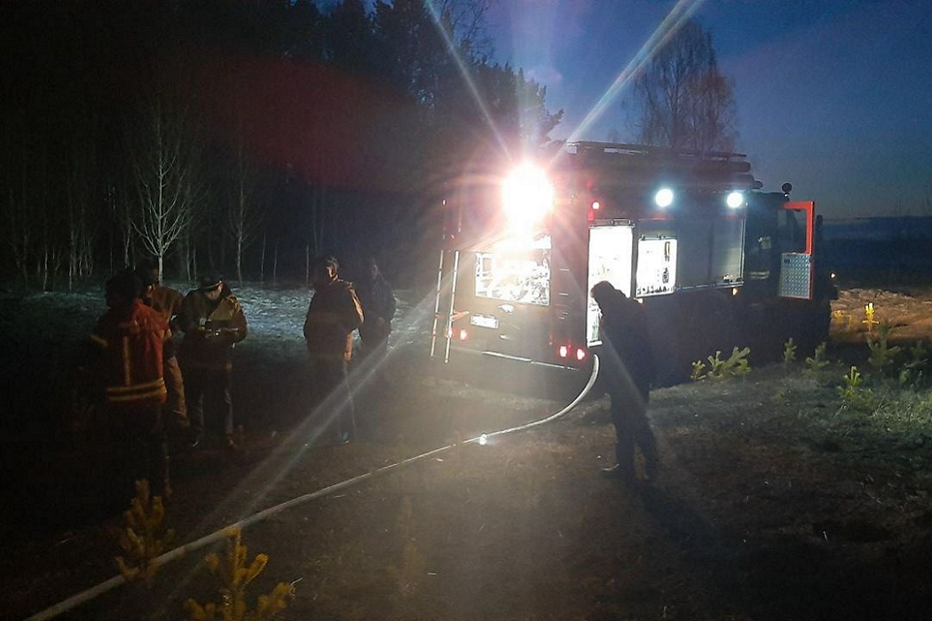 В Горном щите в Екатеринбурге сгорело 5 га сухой травы возле жилого сектора