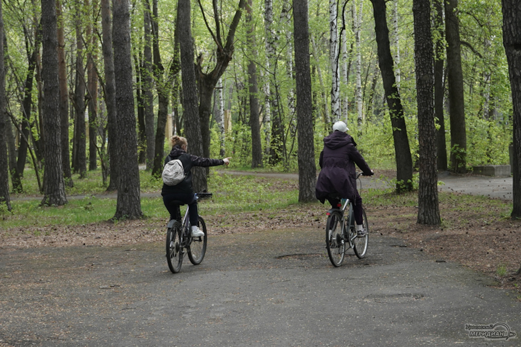 Благоустройство трёх заброшенных парков Екатеринбурга обсудили кураторы