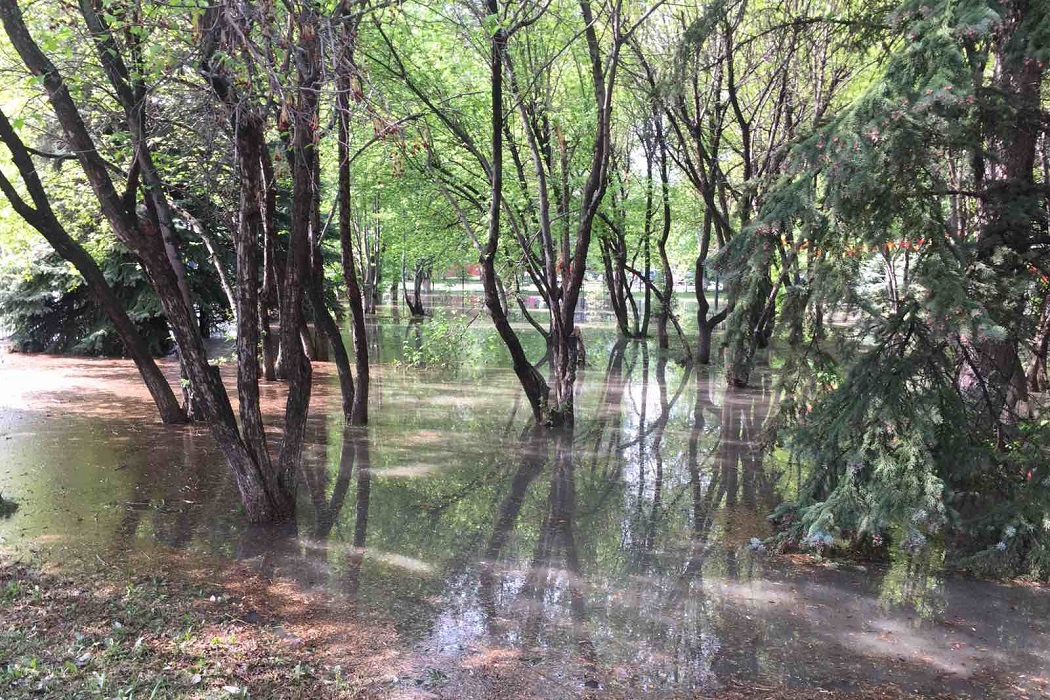 В Тюмени дождём затопило дворы, скверы и парки 1