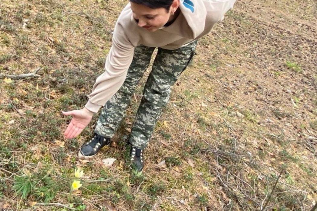 Депутат Госдумы удивилась, почему ядовитый «Прострел желтеющий» в Висимском заповеднике не «жовто-блакитного цвета»