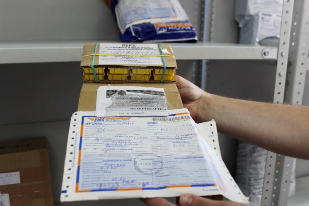 «Живые посылки» с пчёлами доставила в Свердловскую область Почта России