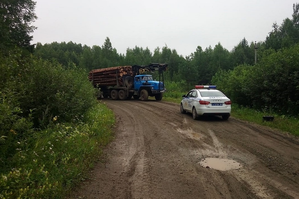 На Урале 16-летний водитель ВАЗ и его пассажирка погибли при столкновении с лесовозом 