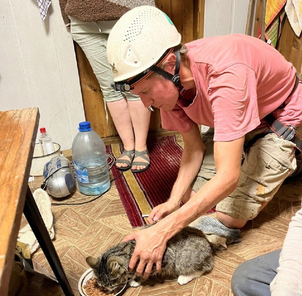 За сутки зооспасатели Екатеринбурга спасли трёх котов 