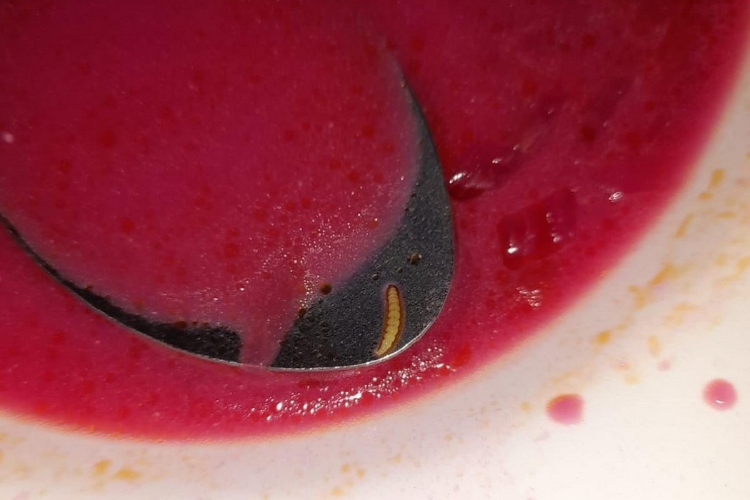 Дети нашли червя в борще из столовой школы №10 в Реже