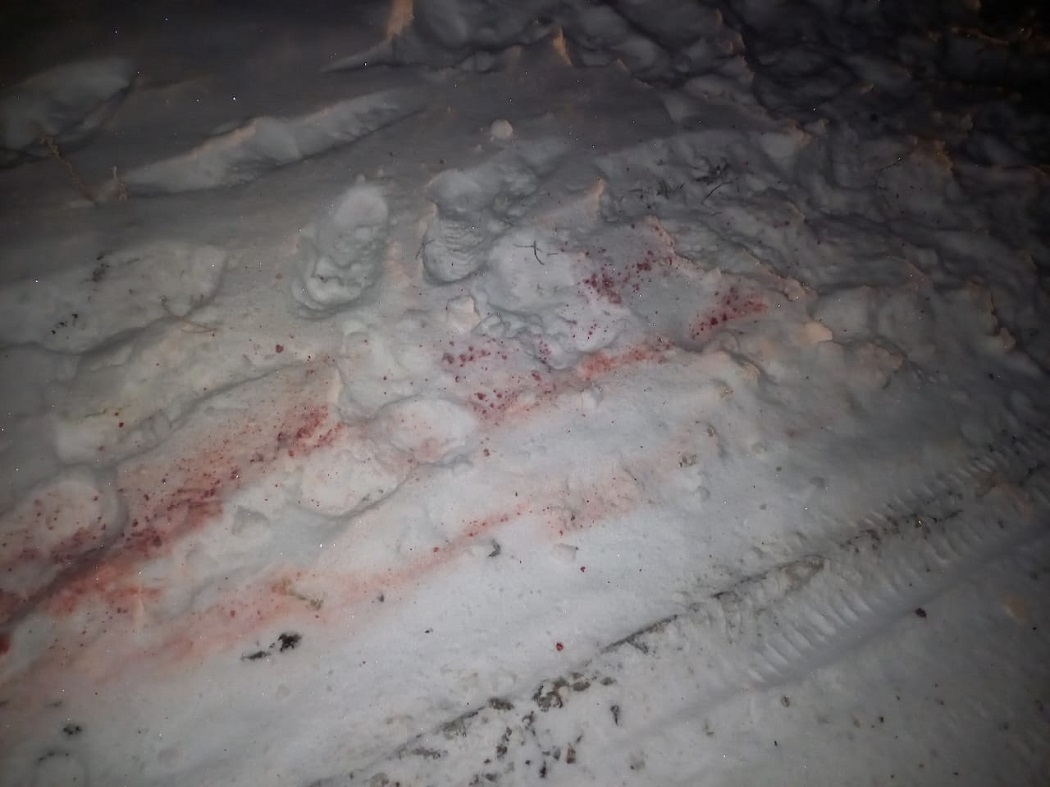 Под Екатеринбургом девушка на снегокате, привязанному к автомобилю, свалилась на дорогу