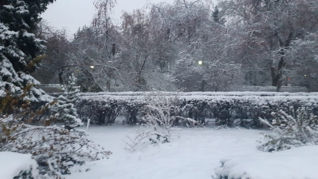 Екатеринбург засыпало снегом в ночь на 14 ноября