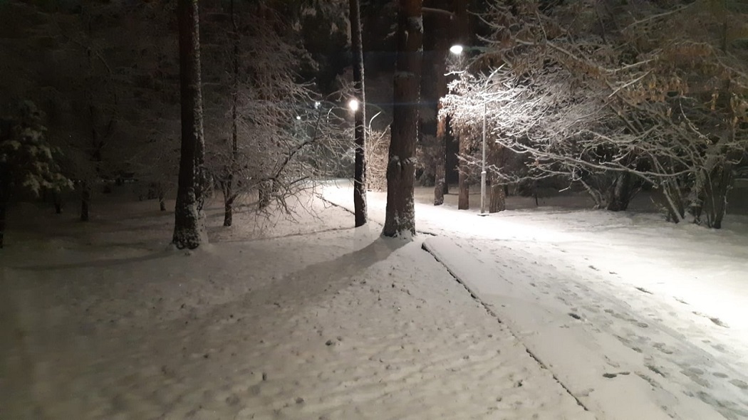 Екатеринбург засыпало снегом в ночь на 14 ноября 