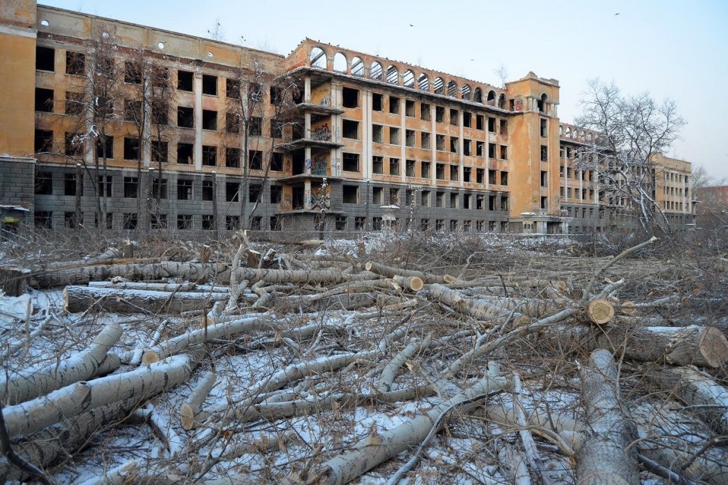 В Зелёной роще Екатеринбурга вырубили деревья у заброшенной больницы