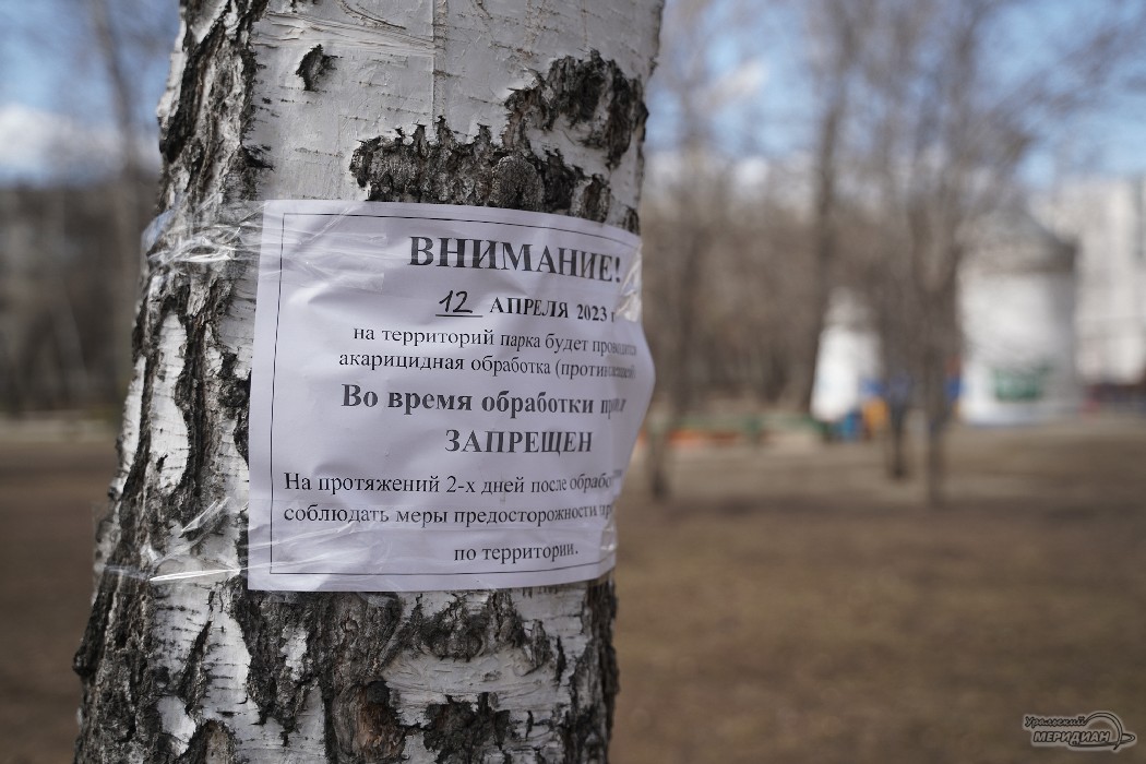 В Екатеринбурге приступили к обработке парков и скверов от клещей