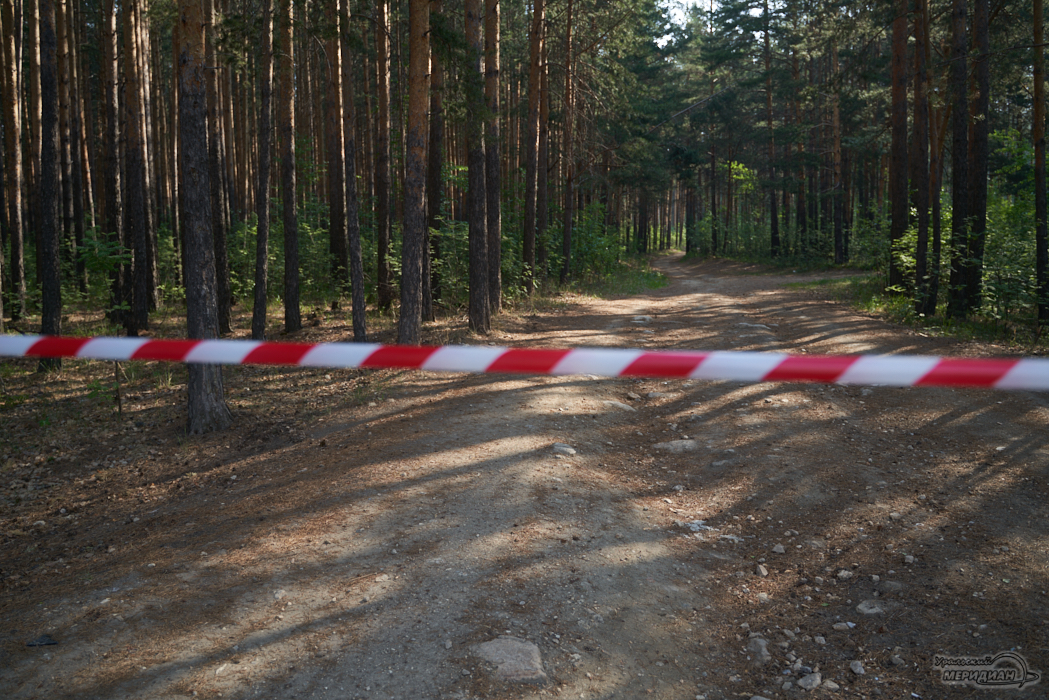 Власти Екатеринбурга ужесточили запрет на посещение лесов и торфяников
