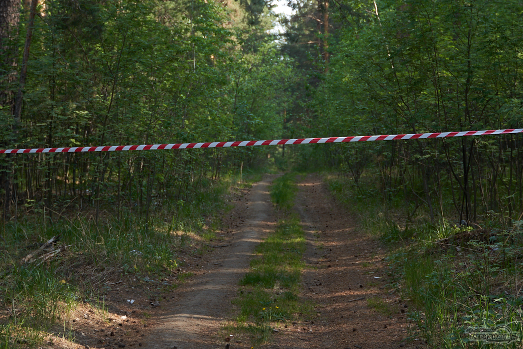 Власти Екатеринбурга ужесточили запрет на посещение лесов и торфяников