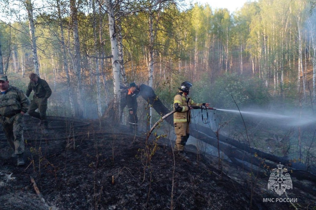 Поджигателя травы под Нижними Сергами поймали свердловские пожарные 
