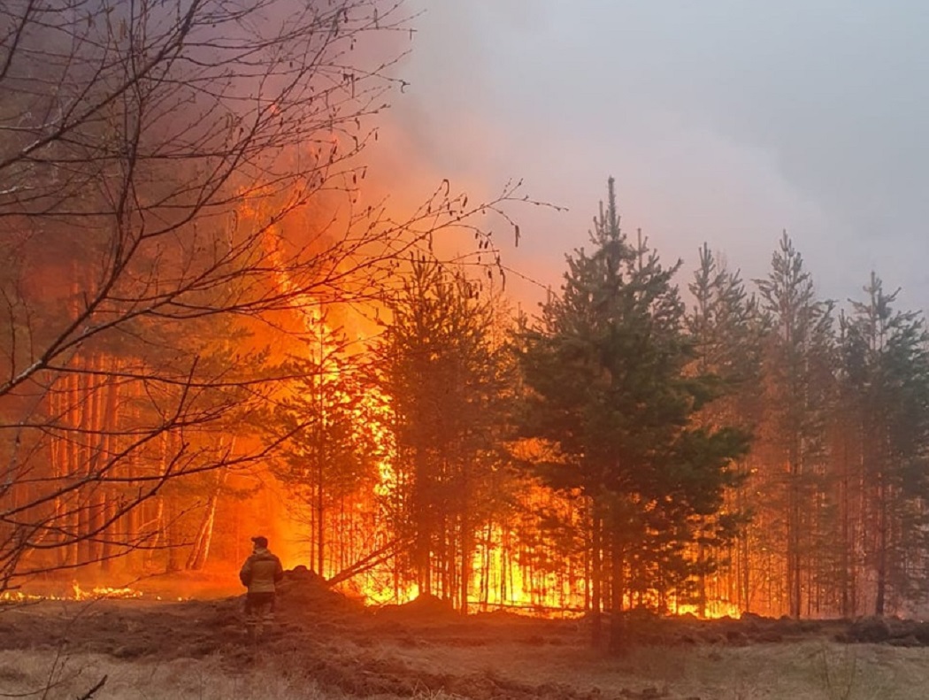 Восемь человек эвакуировали из посёлка Стриганово под Режом из-за лесного пожара