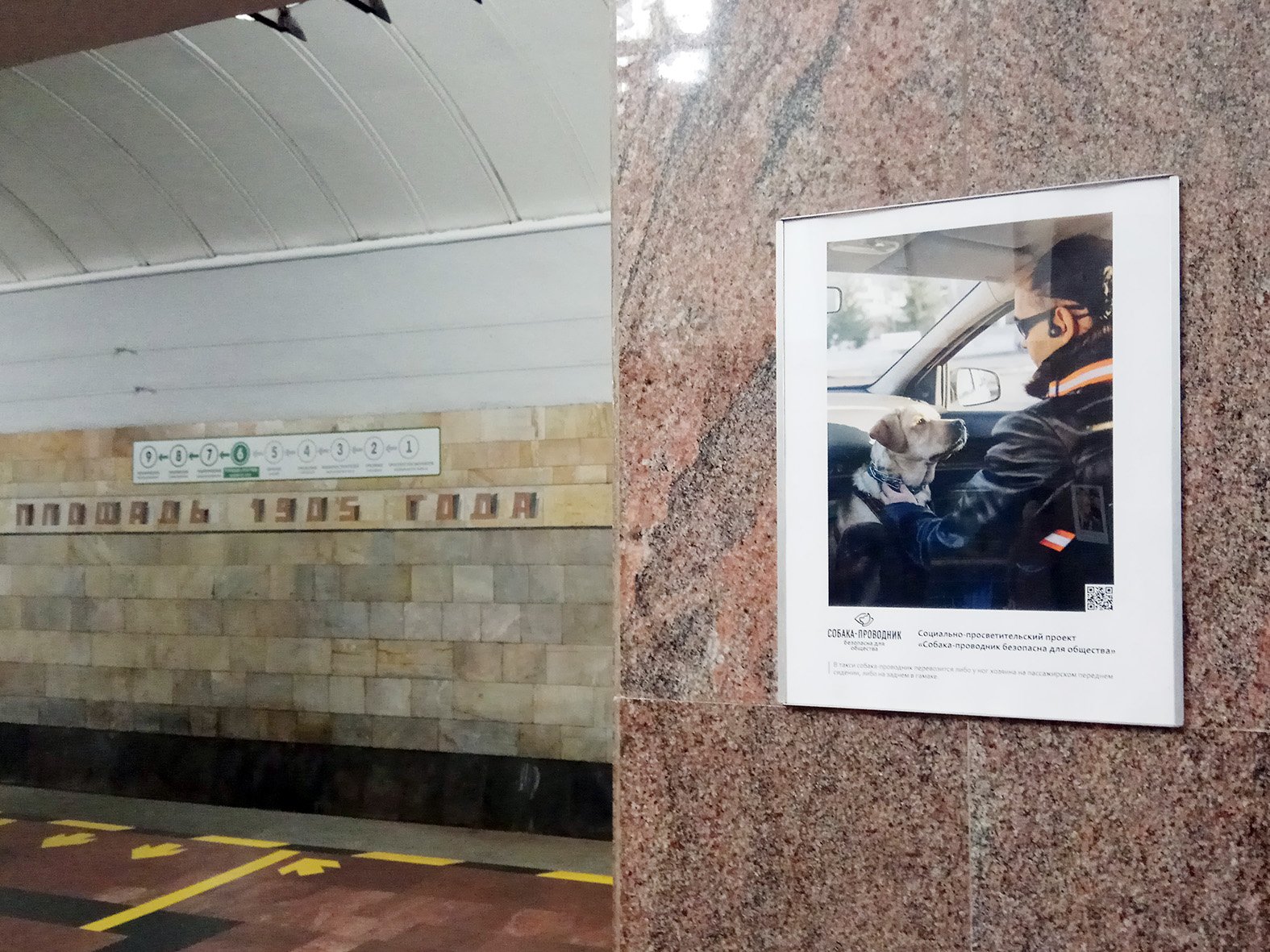 фотовыставка в метро о собаках-поводырях